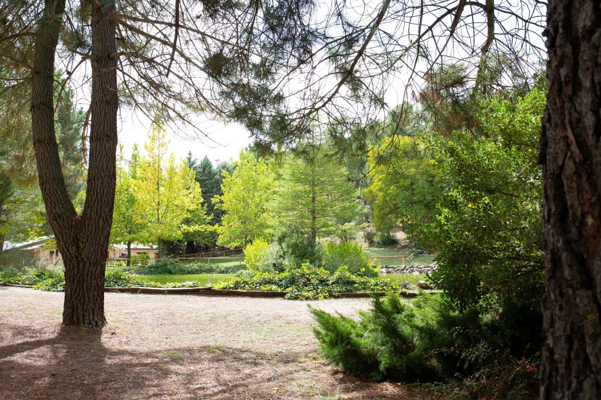 Casa Rural Riopar, Luxury In Nature Εξωτερικό φωτογραφία